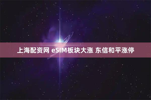 上海配资网 eSIM板块大涨 东信和平涨停