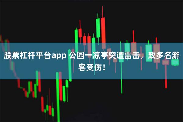 股票杠杆平台app 公园一凉亭突遭雷击，致多名游客受伤！