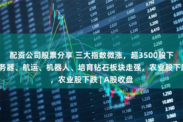 配资公司股票分享 三大指数微涨，超3500股下跌；液冷服务器、航运、机器人、培育钻石板块走强，农业股下跌 | A股收盘